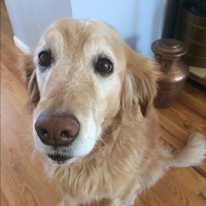 Meet your Posher, Jacque